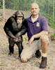 Brian Gisi training chimpanzee