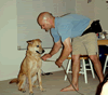 Brian Gisi training Labrador mix dog