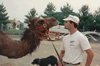 Brian Gisi training dromedary camel