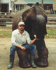 Brian Gisi training African elephant