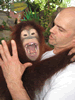 Brian Gisi training young orangutan