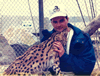 Brian Gisi training serval cat