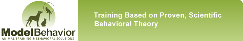 Brian Gisi's Model Behavior Animal Training